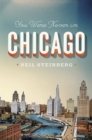 You Were Never in Chicago - Book