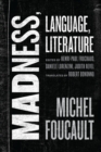 Madness, Language, Literature - eBook
