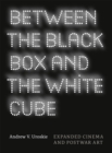 Between the Black Box and the White Cube : Expanded Cinema and Postwar Art - Book