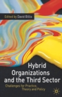 Hybrid Organizations and the Third Sector : Challenges for Practice, Theory and Policy - eBook