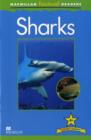 Macmillan Factual Readers: Sharks - Book