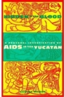 Hidden in the Blood : A Personal Investigation of AIDS in the Yucatan - Book