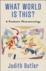 What World Is This? : A Pandemic Phenomenology - Book