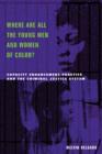 Where Are All the Young Men and Women of Color? : Capacity Enhancement Practice in the Criminal Justice System - eBook
