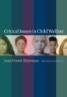 Critical Issues in Child Welfare - eBook