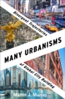 Many Urbanisms : Divergent Trajectories of Global City Building - eBook