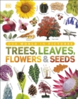 Our World in Pictures: Trees, Leaves, Flowers & Seeds - Book