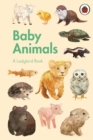 A Ladybird Book: Baby Animals - Book