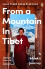 From a Mountain In Tibet : A Monk’s Journey - eBook