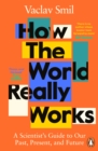 How the World Really Works : A Scientist’s Guide to Our Past, Present and Future - Book