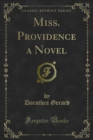 Miss. Providence a Novel - eBook