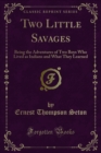 Two Little Savages : Being the Adventures of Two Boys Who Lived as Indians and What They Learned - eBook