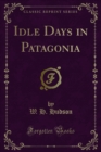 Idle Days in Patagonia - eBook