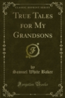 True Tales for My Grandsons - eBook