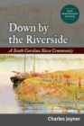Down by the Riverside : A South Carolina Slave Community - Book