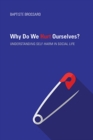 Why Do We Hurt Ourselves? : Understanding Self-Harm in Social Life - Book