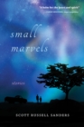 Small Marvels : Stories - Book