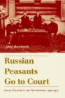 Russian Peasants Go to Court : Legal Culture in the Countryside, 1905-1917 - Book