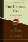 The Undying Fire : A Contemporary Novel - eBook