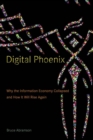 Digital Phoenix : Why the Information Economy Collapsed and How It Will Rise Again - eBook