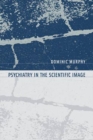 Psychiatry in the Scientific Image - eBook