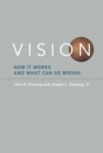 Vision - eBook