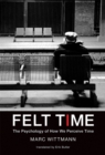 Felt Time : The Psychology of How We Perceive Time - eBook