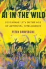 AI in the Wild - Book