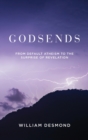 Godsends : From Default Atheism to the Surprise of Revelation - Book