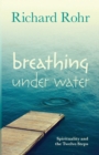 Breathing Under Water : Spirituality and the Twelve Steps - Book