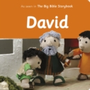 David : As Seen In The Big Bible Storybook - Book