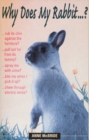 Why Does My Rabbit...? - eBook
