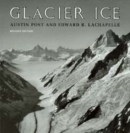 Glacier Ice - Book