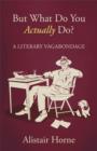 But What Do You Actually Do? : A Literary Vagabondage - eBook