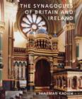 The Synagogues of Britain and Ireland : An Architectural and Social History - Book