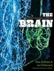 The Brain : Big Bangs, Behaviors, and Beliefs - eBook