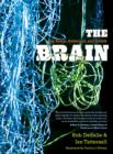 The Brain : Big Bangs, Behaviors, and Beliefs - Book