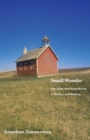 Small Wonder : The Little Red Schoolhouse in History and Memory - Book