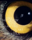 I Do Not Know What It Is I Am Like : The Art of Bill Viola - Book