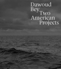 Dawoud Bey : Two American Projects - Book