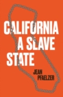 California, a Slave State - eBook