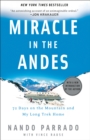 Miracle in the Andes - eBook