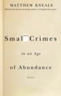 Small Crimes in an Age of Abundance - eBook