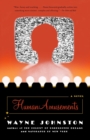 Human Amusements - eBook