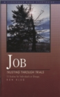 Job - eBook