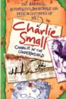 Charlie Small 5: Charlie in the Underworld - eBook