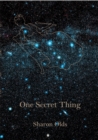 One Secret Thing - eBook
