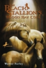 Black Stallion's Blood Bay Colt - eBook