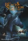 Black Stallion Mystery - eBook