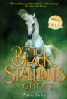 Black Stallion's Ghost - eBook